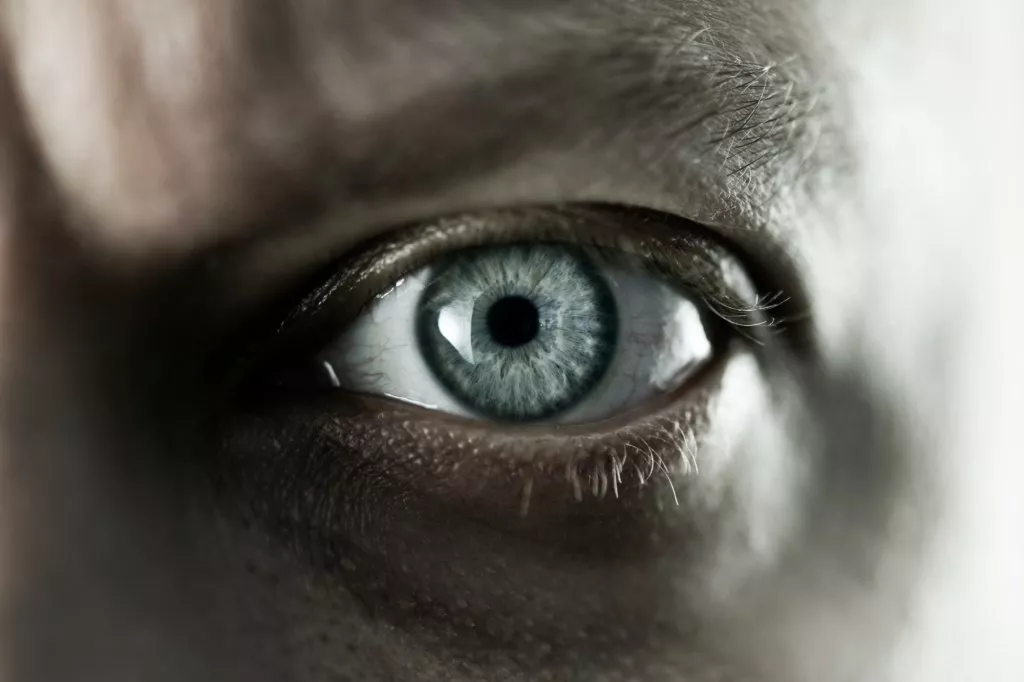 eye